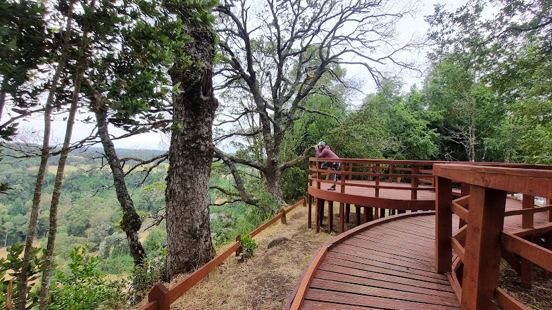 Mirador Estero Pitruco
