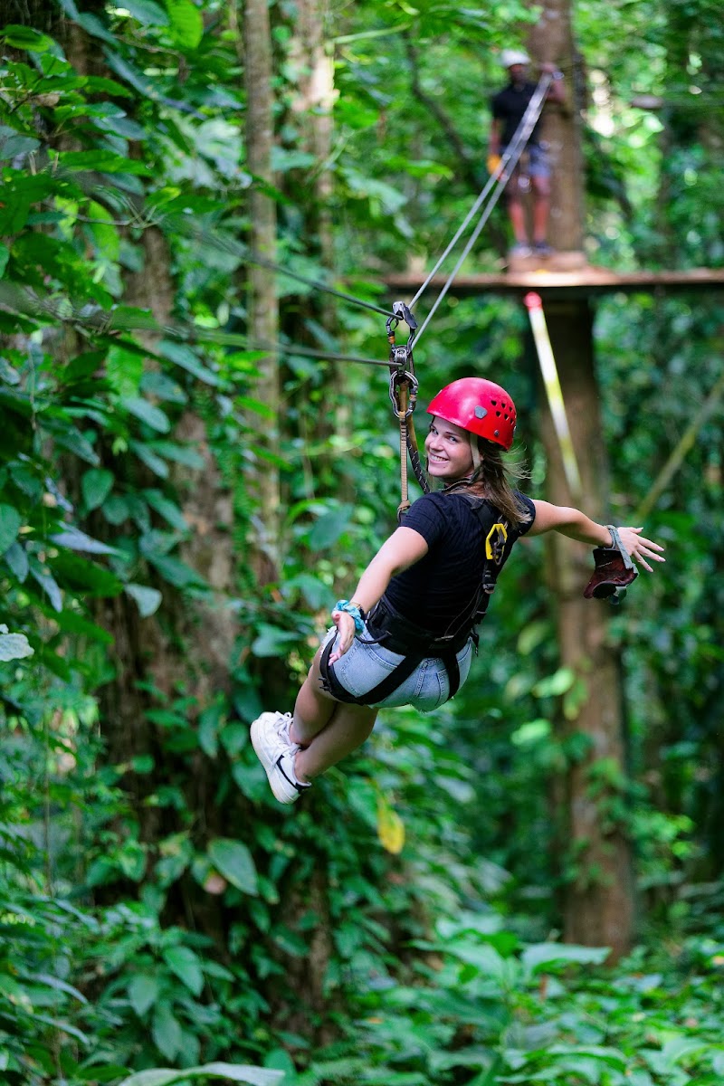 Bastimentos Sky Zipline Canopy Tour