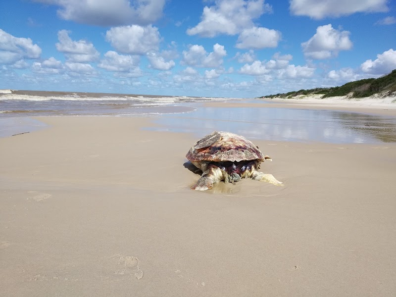 Salinas Beach
